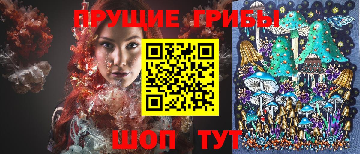 Псилоцибиновые грибы прущие грибы Коряжма